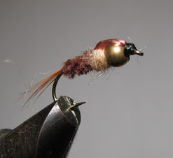 ���� ����� GH  Pheasant tail brown   ������ � 10